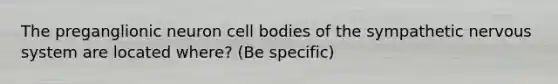 The preganglionic neuron cell bodies of the sympathetic nervous system are located where? (Be specific)