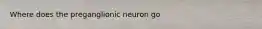 Where does the preganglionic neuron go