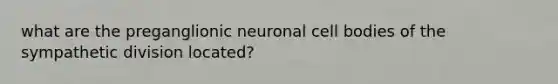 what are the preganglionic neuronal cell bodies of the sympathetic division located?