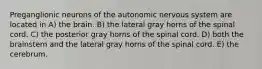 Preganglionic neurons of the autonomic nervous system are located in A) the brain. B) the lateral gray horns of the spinal cord. C) the posterior gray horns of the spinal cord. D) both the brainstem and the lateral gray horns of the spinal cord. E) the cerebrum.