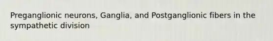 Preganglionic neurons, Ganglia, and Postganglionic fibers in the sympathetic division