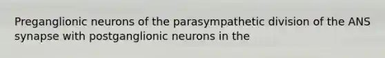 Preganglionic neurons of the parasympathetic division of the ANS synapse with postganglionic neurons in the