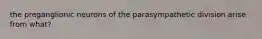 the preganglionic neurons of the parasympathetic division arise from what?