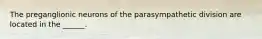 The preganglionic neurons of the parasympathetic division are located in the ______.