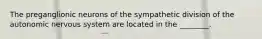 The preganglionic neurons of the sympathetic division of the autonomic nervous system are located in the ________.