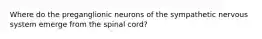 Where do the preganglionic neurons of the sympathetic nervous system emerge from the spinal cord?