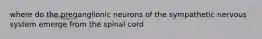 where do the preganglionic neurons of the sympathetic nervous system emerge from the spinal cord