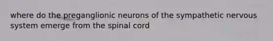 where do the preganglionic neurons of the sympathetic <a href='https://www.questionai.com/knowledge/kThdVqrsqy-nervous-system' class='anchor-knowledge'>nervous system</a> emerge from <a href='https://www.questionai.com/knowledge/kkAfzcJHuZ-the-spinal-cord' class='anchor-knowledge'>the spinal cord</a>