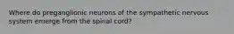 Where do preganglionic neurons of the sympathetic nervous system emerge from the spinal cord?