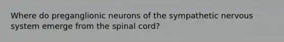 Where do preganglionic neurons of the sympathetic nervous system emerge from the spinal cord?