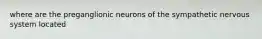 where are the preganglionic neurons of the sympathetic nervous system located