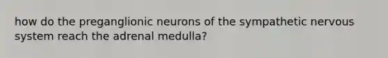 how do the preganglionic neurons of the sympathetic nervous system reach the adrenal medulla?