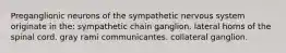 Preganglionic neurons of the sympathetic nervous system originate in the: sympathetic chain ganglion. lateral horns of the spinal cord. gray rami communicantes. collateral ganglion.