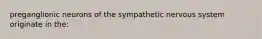 preganglionic neurons of the sympathetic nervous system originate in the: