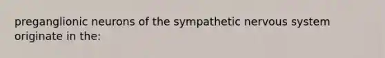 preganglionic neurons of the sympathetic nervous system originate in the: