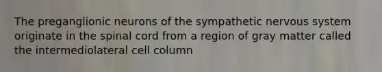 The preganglionic neurons of the sympathetic nervous system originate in the spinal cord from a region of gray matter called the intermediolateral cell column