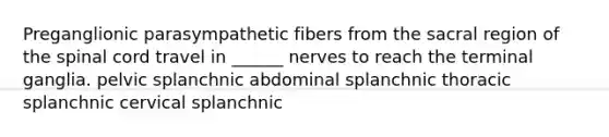 Preganglionic parasympathetic fibers from the sacral region of the spinal cord travel in ______ nerves to reach the terminal ganglia. pelvic splanchnic abdominal splanchnic thoracic splanchnic cervical splanchnic