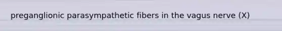 preganglionic parasympathetic fibers in the vagus nerve (X)