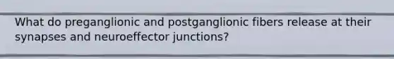 What do preganglionic and postganglionic fibers release at their synapses and neuroeffector junctions?