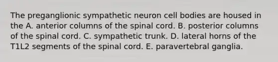 The preganglionic sympathetic neuron cell bodies are housed in the A. anterior columns of <a href='https://www.questionai.com/knowledge/kkAfzcJHuZ-the-spinal-cord' class='anchor-knowledge'>the spinal cord</a>. B. posterior columns of the spinal cord. C. sympathetic trunk. D. lateral horns of the T1L2 segments of the spinal cord. E. paravertebral ganglia.