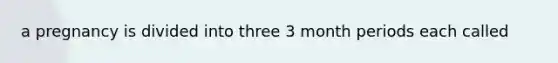 a pregnancy is divided into three 3 month periods each called