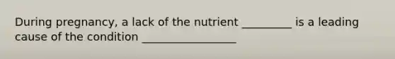 During pregnancy, a lack of the nutrient _________ is a leading cause of the condition _________________