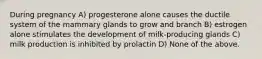 During pregnancy A) progesterone alone causes the ductile system of the mammary glands to grow and branch B) estrogen alone stimulates the development of milk-producing glands C) milk production is inhibited by prolactin D) None of the above.