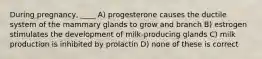 During pregnancy, ____ A) progesterone causes the ductile system of the mammary glands to grow and branch B) estrogen stimulates the development of milk-producing glands C) milk production is inhibited by prolactin D) none of these is correct