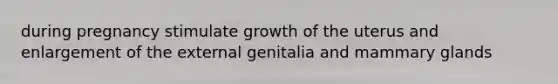 during pregnancy stimulate growth of the uterus and enlargement of the external genitalia and mammary glands