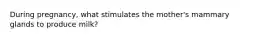 During pregnancy, what stimulates the mother's mammary glands to produce milk?