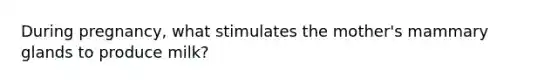 During pregnancy, what stimulates the mother's mammary glands to produce milk?