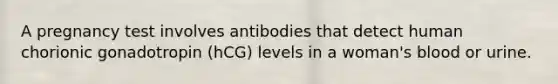 A pregnancy test involves antibodies that detect human chorionic gonadotropin (hCG) levels in a woman's blood or urine.