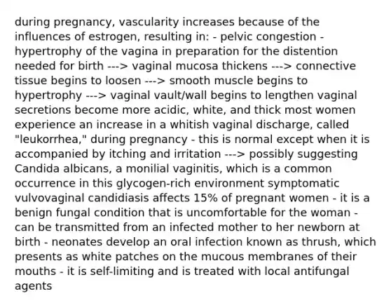 during pregnancy, vascularity increases because of the influences of estrogen, resulting in: - pelvic congestion - hypertrophy of the vagina in preparation for the distention needed for birth ---> vaginal mucosa thickens ---> connective tissue begins to loosen ---> smooth muscle begins to hypertrophy ---> vaginal vault/wall begins to lengthen vaginal secretions become more acidic, white, and thick most women experience an increase in a whitish vaginal discharge, called "leukorrhea," during pregnancy - this is normal except when it is accompanied by itching and irritation ---> possibly suggesting Candida albicans, a monilial vaginitis, which is a common occurrence in this glycogen-rich environment symptomatic vulvovaginal candidiasis affects 15% of pregnant women - it is a benign fungal condition that is uncomfortable for the woman - can be transmitted from an infected mother to her newborn at birth - neonates develop an oral infection known as thrush, which presents as white patches on the mucous membranes of their mouths - it is self-limiting and is treated with local antifungal agents