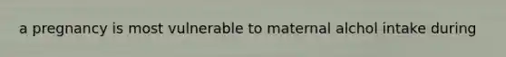 a pregnancy is most vulnerable to maternal alchol intake during