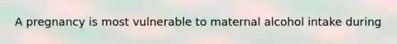 A pregnancy is most vulnerable to maternal alcohol intake during