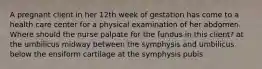 A pregnant client in her 12th week of gestation has come to a health care center for a physical examination of her abdomen. Where should the nurse palpate for the fundus in this client? at the umbilicus midway between the symphysis and umbilicus below the ensiform cartilage at the symphysis pubis