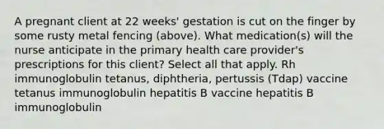 A pregnant client at 22 weeks' gestation is cut on the finger by some rusty metal fencing (above). What medication(s) will the nurse anticipate in the primary health care provider's prescriptions for this client? Select all that apply. Rh immunoglobulin tetanus, diphtheria, pertussis (Tdap) vaccine tetanus immunoglobulin hepatitis B vaccine hepatitis B immunoglobulin