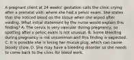 A pregnant client at 24 weeks' gestation calls the clinic crying after a prenatal visit, where she had a pelvic exam. She states that she noticed blood on the tissue when she wiped after voiding. What initial statement by the nurse would explain this finding? A. The cervix is very vascular during pregnancy, so spotting after a pelvic exam is not unusual. B. Some bleeding during pregnancy is not uncommon and this finding is expected. C. It is possible she is losing her mucus plug, which can cause bloody show. D. She may have a bleeding disorder so she needs to come back to the clinic for blood work.