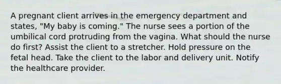 A pregnant client arrives in the emergency department and states, "My baby is coming." The nurse sees a portion of the umbilical cord protruding from the vagina. What should the nurse do first? Assist the client to a stretcher. Hold pressure on the fetal head. Take the client to the labor and delivery unit. Notify the healthcare provider.