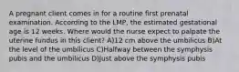 A pregnant client comes in for a routine first prenatal examination. According to the LMP, the estimated gestational age is 12 weeks. Where would the nurse expect to palpate the uterine fundus in this client? A)12 cm above the umbilicus B)At the level of the umbilicus C)Halfway between the symphysis pubis and the umbilicus D)Just above the symphysis pubis