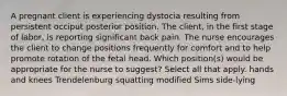 A pregnant client is experiencing dystocia resulting from persistent occiput posterior position. The client, in the first stage of labor, is reporting significant back pain. The nurse encourages the client to change positions frequently for comfort and to help promote rotation of the fetal head. Which position(s) would be appropriate for the nurse to suggest? Select all that apply. hands and knees Trendelenburg squatting modified Sims side-lying