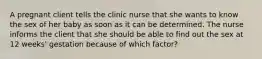 A pregnant client tells the clinic nurse that she wants to know the sex of her baby as soon as it can be determined. The nurse informs the client that she should be able to find out the sex at 12 weeks' gestation because of which factor?