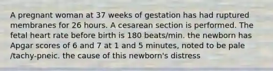 A pregnant woman at 37 weeks of gestation has had ruptured membranes for 26 hours. A cesarean section is performed. The fetal heart rate before birth is 180 beats/min. the newborn has Apgar scores of 6 and 7 at 1 and 5 minutes, noted to be pale /tachy-pneic. the cause of this newborn's distress