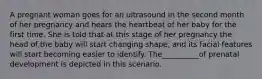 A pregnant woman goes for an ultrasound in the second month of her pregnancy and hears the heartbeat of her baby for the first time. She is told that at this stage of her pregnancy the head of the baby will start changing shape, and its facial features will start becoming easier to identify. The__________of prenatal development is depicted in this scenario.