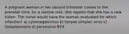 A pregnant woman in her second trimester comes to the prenatal clinic for a routine visit. She reports that she has a new kitten. The nurse would have the woman evaluated for which infection? a) cytomegalovirus b) herpes simplex virus c) toxoplasmosis d) parvovirus B19