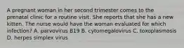 A pregnant woman in her second trimester comes to the prenatal clinic for a routine visit. She reports that she has a new kitten. The nurse would have the woman evaluated for which infection? A. parvovirus B19 B. cytomegalovirus C. toxoplasmosis D. herpes simplex virus