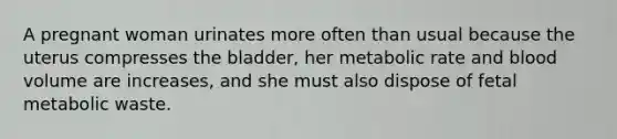 A pregnant woman urinates more often than usual because the uterus compresses the bladder, her metabolic rate and blood volume are increases, and she must also dispose of fetal metabolic waste.