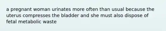 a pregnant woman urinates more often than usual because the uterus compresses the bladder and she must also dispose of fetal metabolic waste