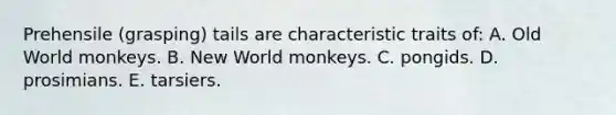 Prehensile (grasping) tails are characteristic traits of: A. Old World monkeys. B. New World monkeys. C. pongids. D. prosimians. E. tarsiers.