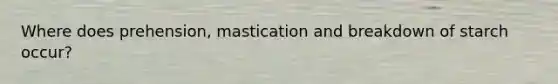 Where does prehension, mastication and breakdown of starch occur?